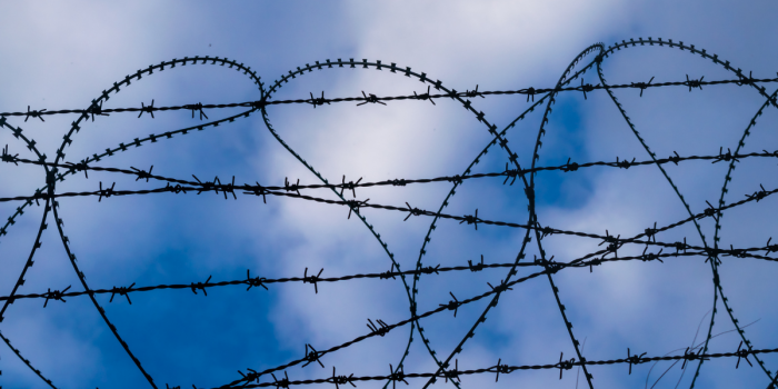 Cuatro años de guerra en Ucrania: más de 5.000 mujeres y niñas han muerto y peligra la red de apoyo