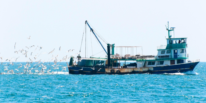 CONDEPP apunta a crimen organizado y secreto bancario tras red de tráfico de productos marinos
