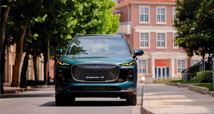 Lepas, la marca premium de nuevas energías que va por su expansión global y podría llegar a Chile