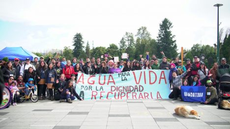 Con río, feria y teatro lleno: Valdivia conmemoró el Día del Agua con amplia participación