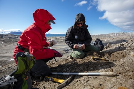 Fósiles revelan que los lirios de mar antárticos resistieron la extinción que acabó con dinosaurios