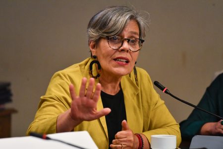 Diputada Fríes y conmutación de penas: "Este proyecto chocaría con el Estatuto de Roma"