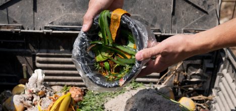 Basura Cero sin territorio es solo retórica