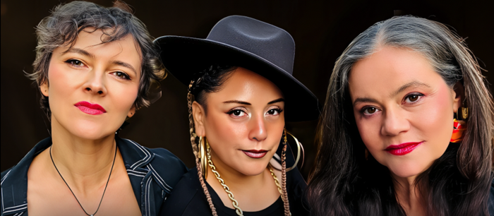 Recital de despedida de Mamma Soul en Peñalolén