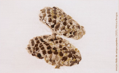 Muestra "Un libro viajero" de Mónica Bengoa