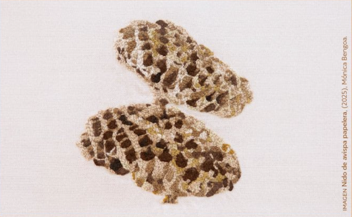 Muestra “Un libro viajero” de Mónica Bengoa