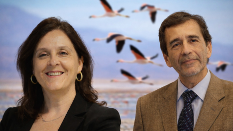 Remezón en medio ambiente: piden renuncia a dos autoridades elegidas por Alta Dirección Pública