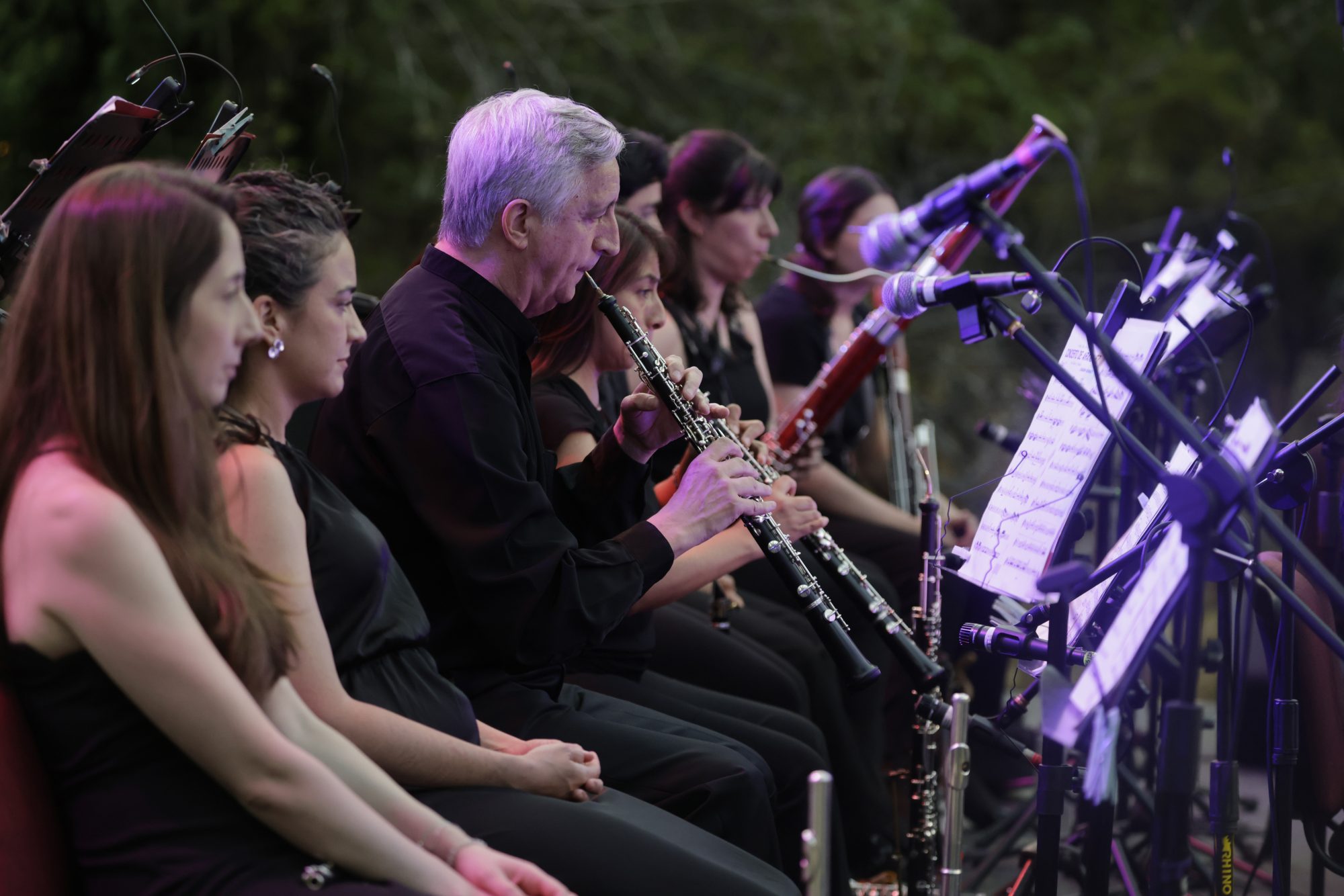 Concierto que conmemora los 270 años del nacimiento de Mozart abre temporada de Camerata UNAB