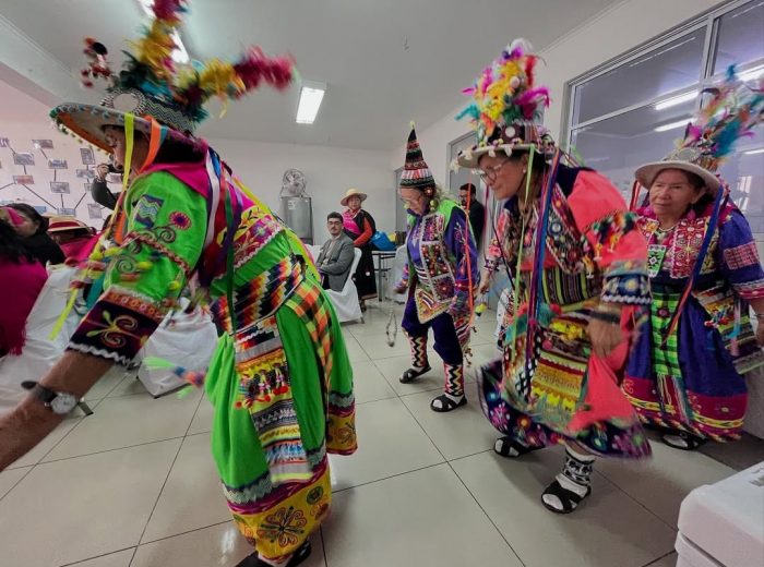 Identidad chilena: Patrimonio diverso que se construye con historia y territorio, no con exclusión