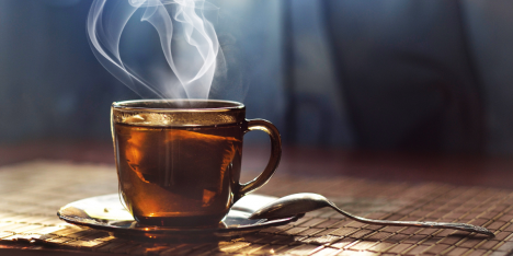 Chile se consolida como potencia del té: auge del consumo premium impulsa nueva cultura de bienestar