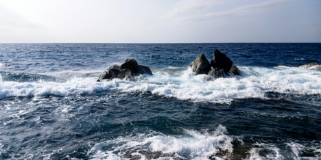 Chile amplía áreas marinas y consolida uno de los sistemas de protección oceánica más grandes