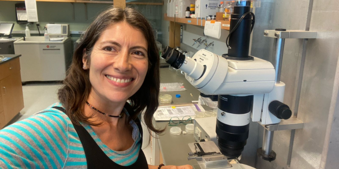 Andrea Calixto: “La equidad no puede depender del ánimo del lugar, tiene que ser norma”