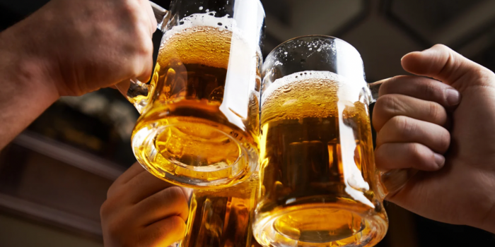 Festival Cervecero Independiente 2026: cerveceros de todo Chile llegan a Parque Padre Hurtado