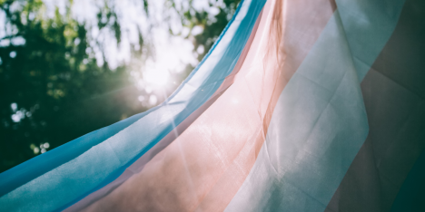 Interrupción de “Crece con Orgullo” genera críticas y alerta por derechos de infancias trans