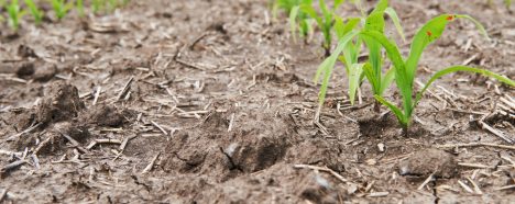 Día Mundial del Agua: Eficiencia hídrica para la competitividad del agro