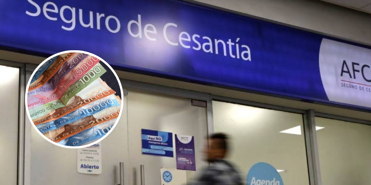 Seguro de Cesantía: cómo revisar el saldo y solicitar el beneficio