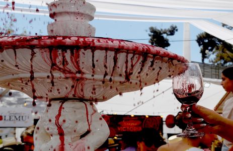 Curicó proyecta su Fiesta de la Vendimia al mundo con Sello oficial y México como país invitado