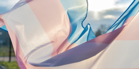 Matronería y salud trans: el rol clave en el acompañamiento de procesos de transición