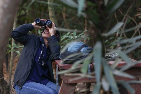 Centroamérica, paraíso del aviturismo: Guatemala reafirma el potencial del avistamiento de aves