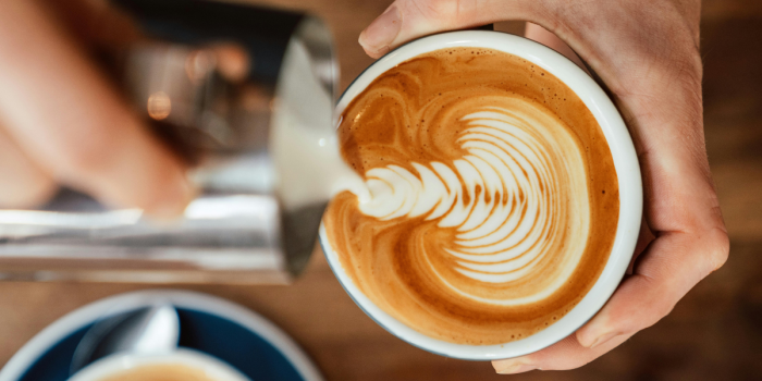 Tras éxito de pasaporte de cafeterías patrimoniales Valparaíso crea ruta de cafeterías sustentables