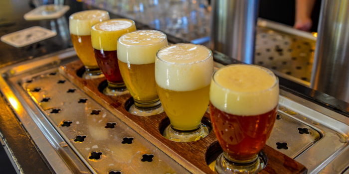 Desde La Araucanía: una ruta cervecera que transforma territorio en identidad