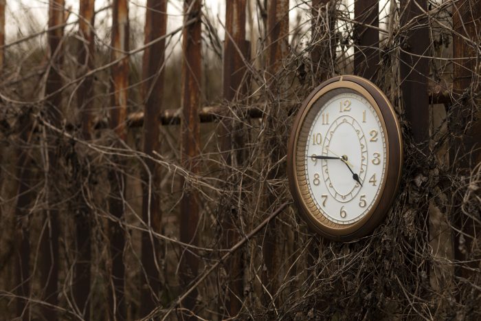 Tic tac y la consecuencia del tiempo: si la vida es breve, carpe diem