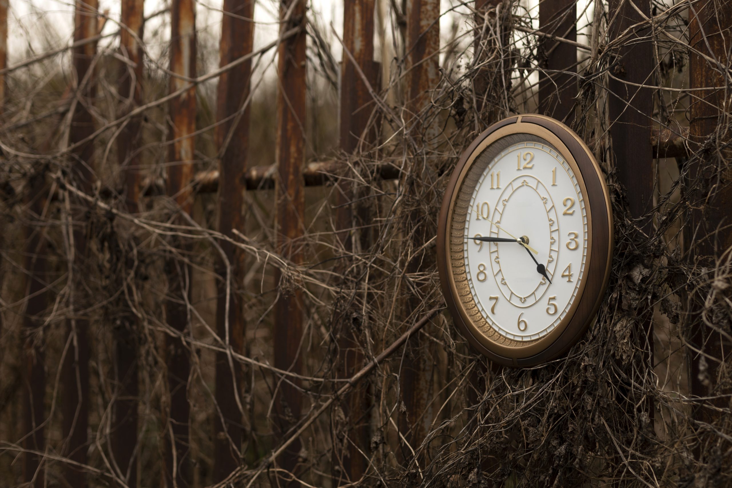 Tic tac y la consecuencia del tiempo: si la vida es breve, carpe diem