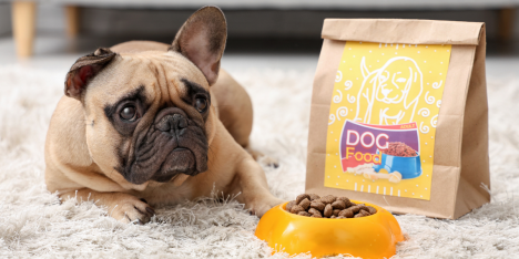 ¿Cómo leer correctamente la etiqueta de un alimento para mascotas?