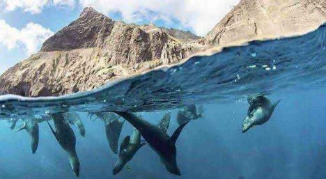 Se cae Juan Fernández: Gobierno congela protección marina y paraliza agenda ambiental completa