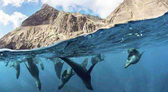 Se cae Juan Fernández: Gobierno congela protección marina y paraliza agenda ambiental completa