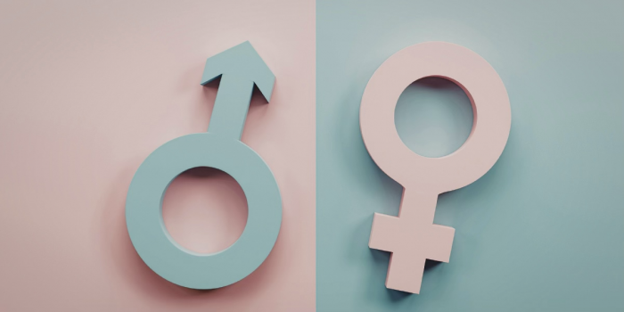 8M: El rol de la educación en la equidad