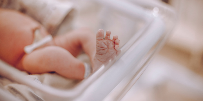 En 30 años Chile pasó de 273 mil bebés al año a 135 mil: qué está pasando