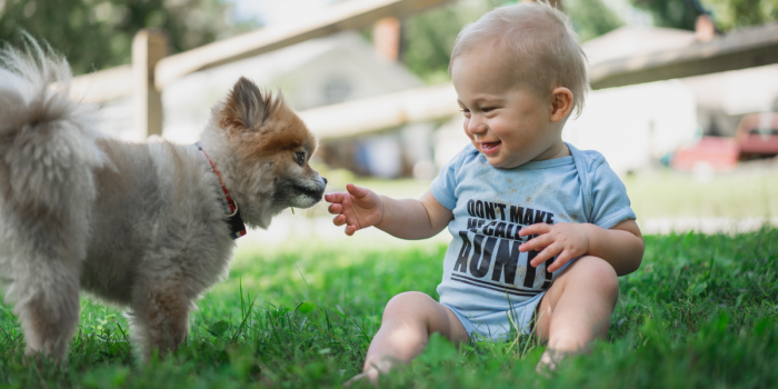 Niños y animales: panoramas que promueven respeto y conexión con la naturaleza