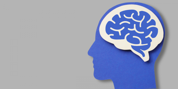 Crisis de salud cognitiva en Chile: estrés, fatiga digital y hábitos impactan la memoria