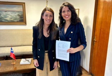 Multas de hasta 50 UTM: proyecto de senadora Gatica busca sancionar a padres por bullying escolar