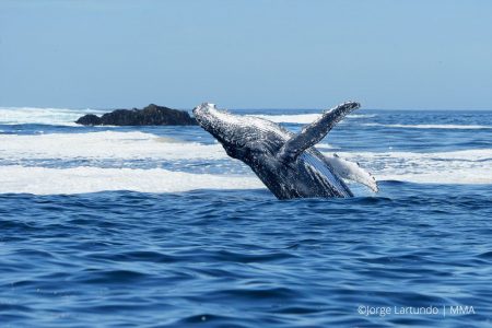 El gran paso de Chile a escala oceánica