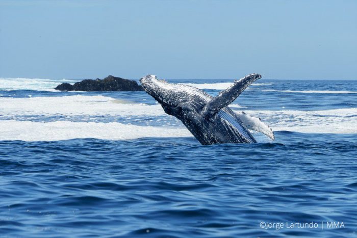 El gran paso de Chile a escala oceánica