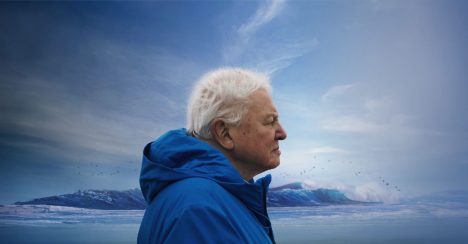 Marcinefest 2026 trae a Chile el estreno de "Ocean", el nuevo documental de David Attenborough
