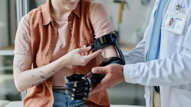 Por qué los mamíferos no podemos regenerar partes del cuerpo enteras como otros animales