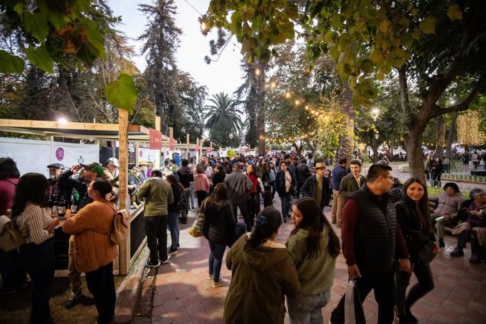 Vendimia San Fernando 2026: el gran cierre de la temporada del Valle de Colchagua