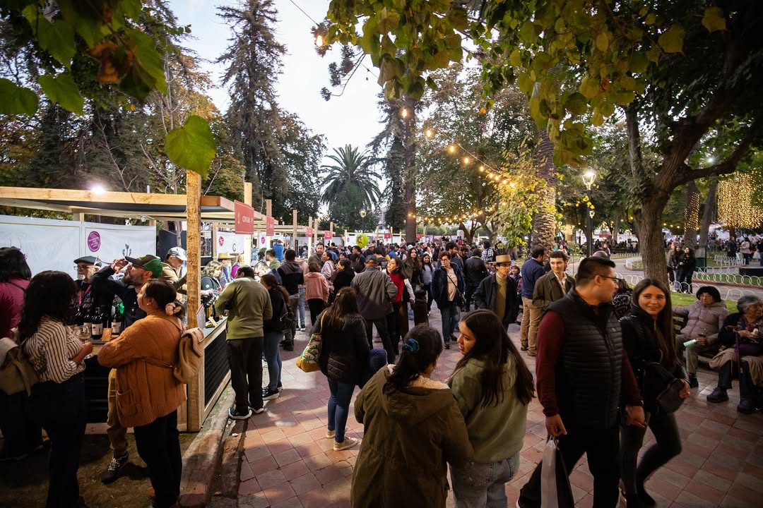 Vendimia San Fernando 2026: el gran cierre de la temporada del Valle de Colchagua