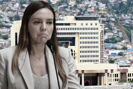 Camila Flores e investigación por fraude al fisco: "Tiene un origen ajeno a lo público"