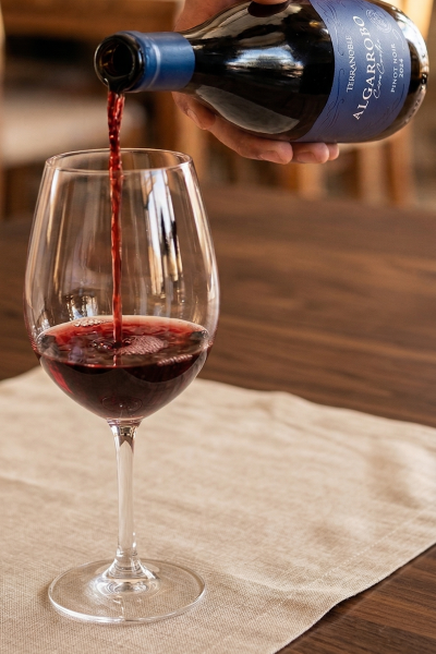 Algarrobo Cero Cuatro: el nuevo Pinot Noir que apuesta por la influencia costera de Casablanca