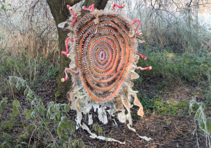 Exposición “Bestiario: invocaciones del territorio” en Puerto Montt