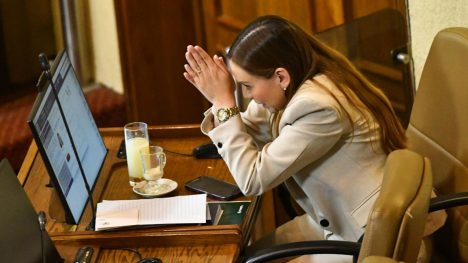 La cuota Camila Flores: la punta del iceberg