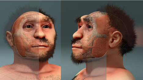 ¿Qué nos cuentan los fósiles humanos hallados en Asia en el último siglo?