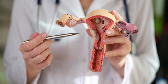 Ovarios poliquísticos vs. SOP: la diferencia que muchas mujeres desconocen