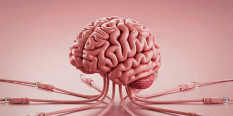 Genes y cerebro: estudio revela por qué hombres y mujeres enfrentan distintos riesgos neurológicos