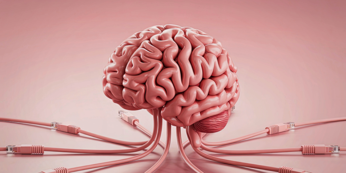 Genes y cerebro: estudio revela por qué hombres y mujeres enfrentan distintos riesgos neurológicos