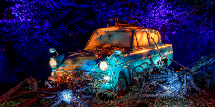 Harry Potter: La experiencia del Bosque Prohibido llega a Santiago en Parque Quinta Normal